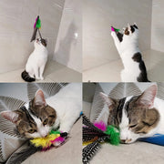 10PCS Replacement Cat Feather Toys,Natural Feather Refills for Indoor Cat Toys,Kitten Cat Having Fun Exercise Playing