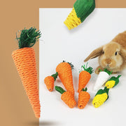 Hamster Rabbit Chew Toy Bite Grind Teeth Toys Corn Carrot Woven Balls