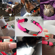 Personalized ID Tag Cat Collar Bell Engraving Safety Breakaway Small Dog Nylon Adjustable for Puppy Kittens Necklace