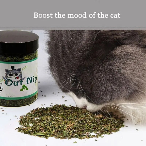 10g 20g 30g Premium Natural Catnip Kitten   Catnip Leaves for Cat Mint Treats Pets Cats Supplies