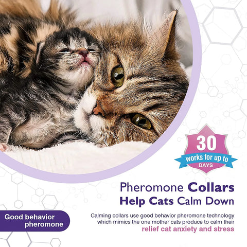 4PCS 38cm Effective Safe Calming Collar For Cats Adjustable Anxiety Pheromone Reducing Remove Restlessness Lasting Natural Calm