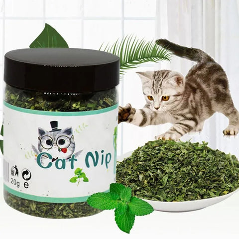 10g 20g 30g Premium Natural Catnip Kitten   Catnip Leaves for Cat Mint Treats Pets Cats Supplies