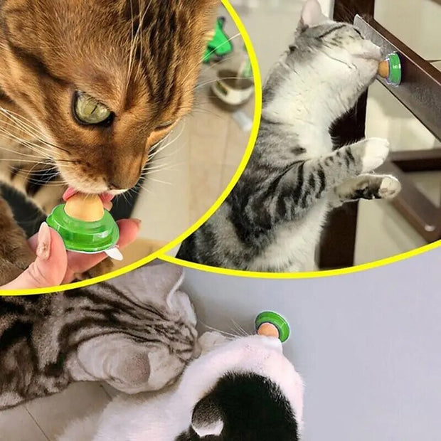 Nutrition Catnip Sugar Cat Toys On The Wall Cat Energy Ball Candy Licking Solid Candy Snacks Cat Supplies Accessories For Cat