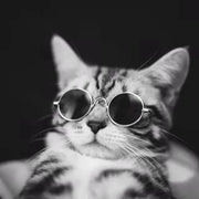 Cute Vintage Round Cat Sunglasses Dog Kitten Cat Accessories for Small Dogs Pet Products Reflection Eyewear Glasses Photos Props