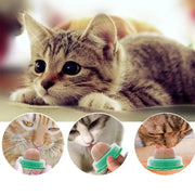 Nutrition Catnip Sugar Cat Toys On The Wall Cat Energy Ball Candy Licking Solid Candy Snacks Cat Supplies Accessories For Cat