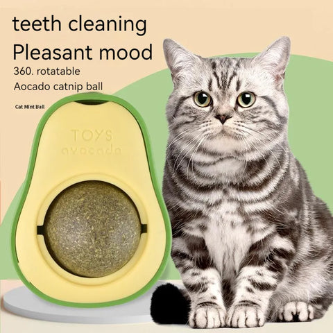 Pet Cat Avocado Catnip Wall Balls Cat Toys Cat Edible Lick Balls Cat Products Spinable Treats Toys Cat Products