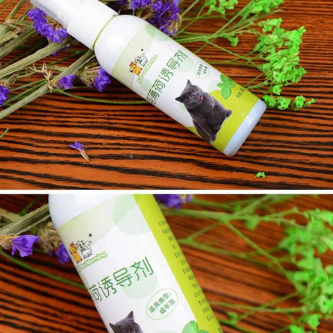 50ml Cat Catnip Spray Healthy Ingredients Catnip Spray For Kittens Cats & Attractant Easy To Use & Safe For Pets Gifts For Pets