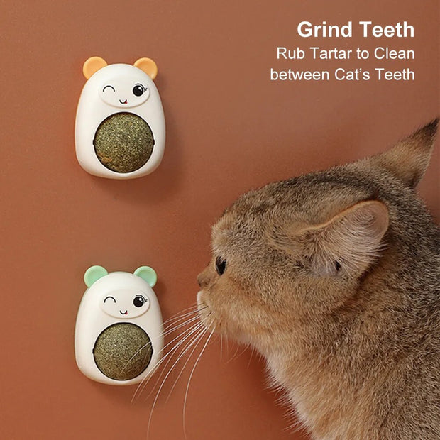 Cartoon Cat Mint Ball Cat Self Hi Spin Ball Grinds Teeth Cat Cudgel Tim Le Cat Mint Toy Pet Supplies Catnip Cat Toy Catnip