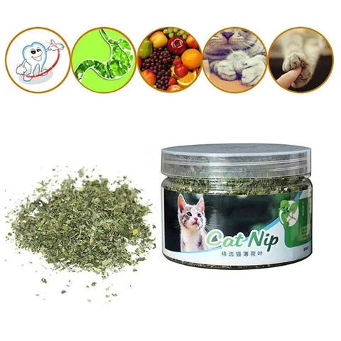 10g 20g 30g Premium Natural Catnip Kitten   Catnip Leaves for Cat Mint Treats Pets Cats Supplies