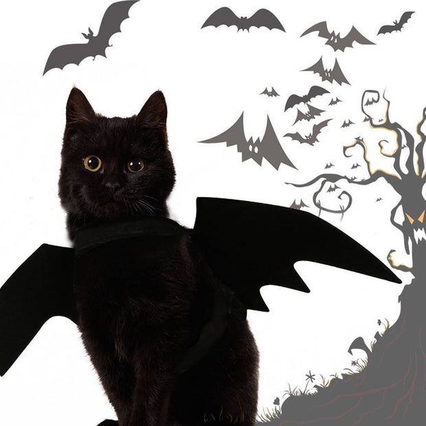 halloween cat costume small pet cat bat wings