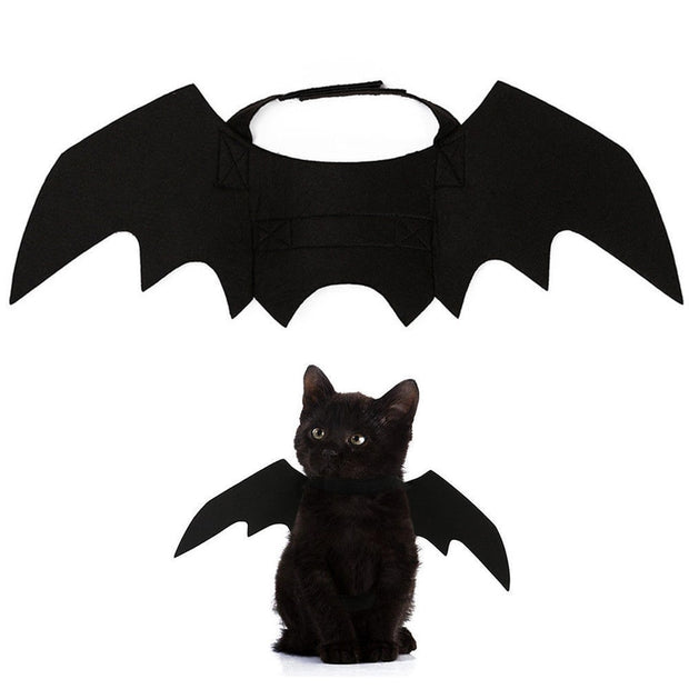 halloween cat costume small pet cat bat wings