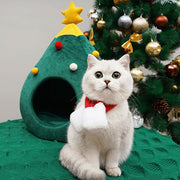 christmas cat house