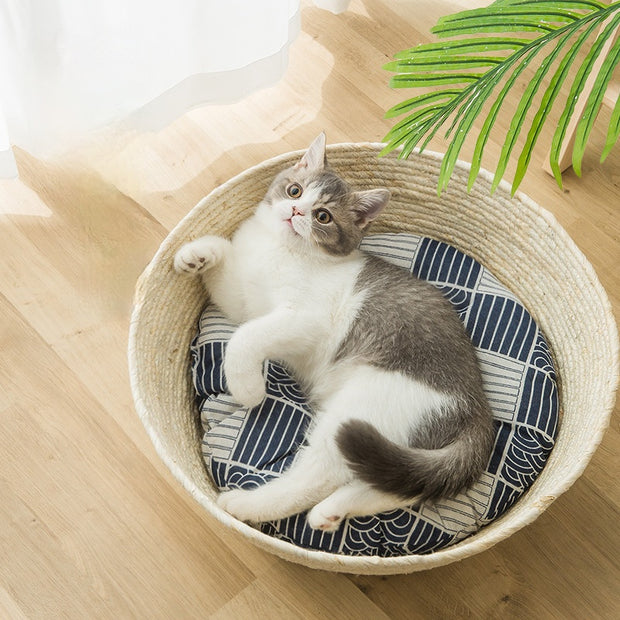 cat straw bed