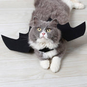 halloween cat costume small pet cat bat wings