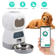 NEW Automatic Timing Smart Feeder Automatic Pet Feeder for Cat Dog Electric Dry Food Dispenser 3.5L 4.5L Bowls Product Supplies