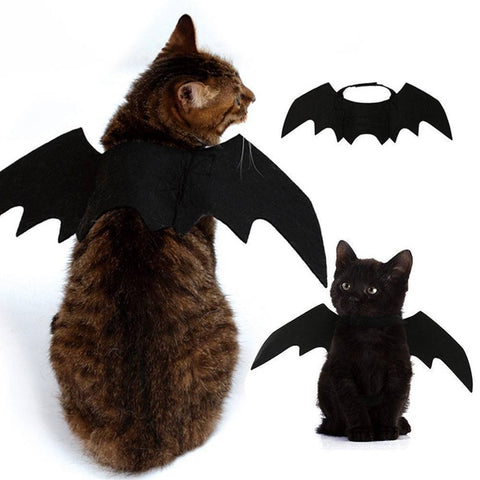 halloween cat costume small pet cat bat wings