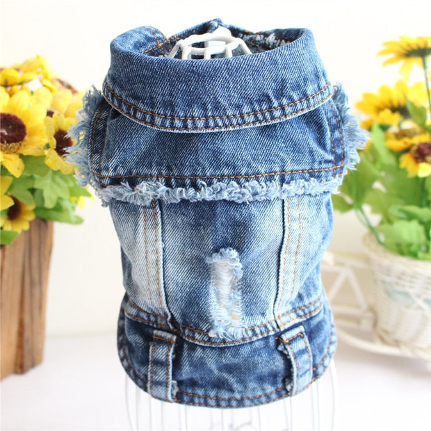 Denim Cat Clothes for Cats Fashion Cat Coat Jeans Jacket Casual Outfits Clothing For Kitten Small Dogs Chihuahua French Bulldog