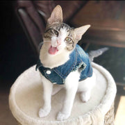 Denim Cat Clothes for Cats Fashion Cat Coat Jeans Jacket Casual Outfits Clothing For Kitten Small Dogs Chihuahua French Bulldog