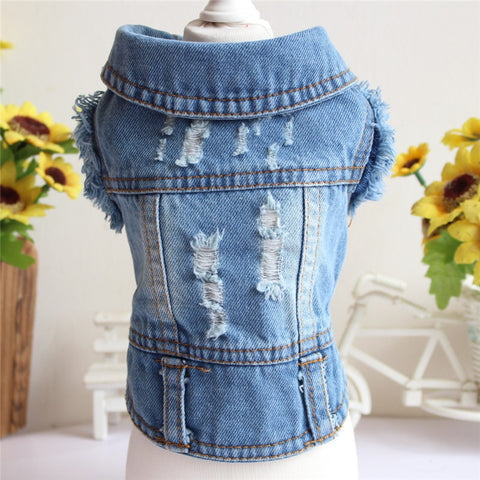 Denim Cat Clothes for Cats Fashion Cat Coat Jeans Jacket Casual Outfits Clothing For Kitten Small Dogs Chihuahua French Bulldog