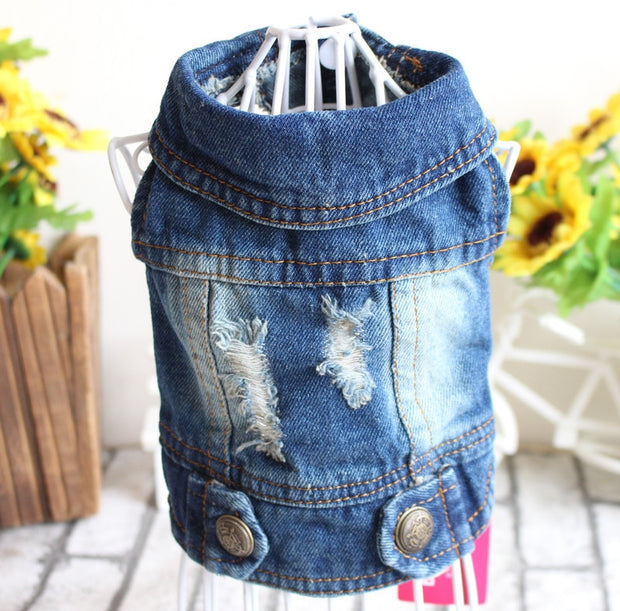 Denim Cat Clothes for Cats Fashion Cat Coat Jeans Jacket Casual Outfits Clothing For Kitten Small Dogs Chihuahua French Bulldog