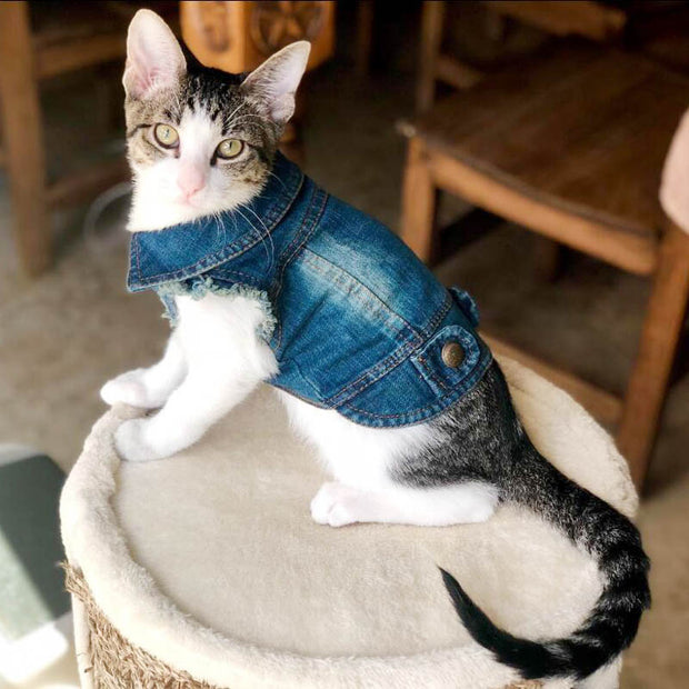 Denim Cat Clothes for Cats Fashion Cat Coat Jeans Jacket Casual Outfits Clothing For Kitten Small Dogs Chihuahua French Bulldog