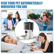 4/6L Automatic Pet Feeder For Cats WiFi Smart Swirl Slow Dog Feeder With Voice Recorder Large Capacity Timing Cat Food Dispenser