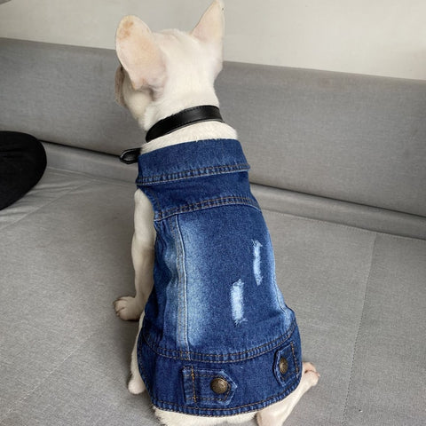 Denim Cat Clothes for Cats Fashion Cat Coat Jeans Jacket Casual Outfits Clothing For Kitten Small Dogs Chihuahua French Bulldog