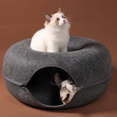 donut cat tunnel