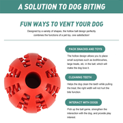 Watermelon Ball for Dog Toy