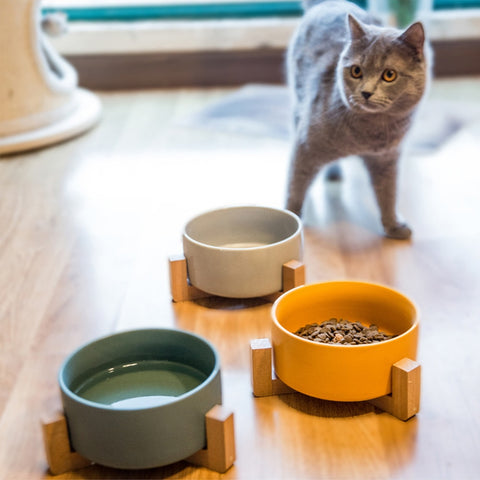 ceramic raised cat bowl