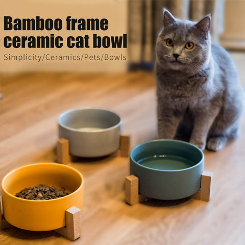 ceramic raised cat bowl