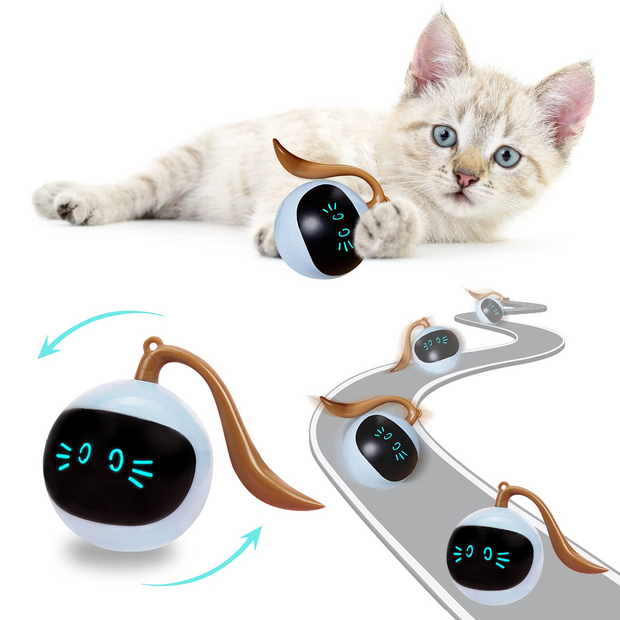 kitten electronic ball