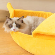 banana cat bed