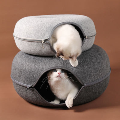 donut cat tunnel