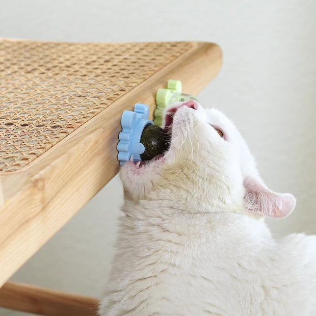 Healthy Cat Catnip Toys Snack - PetMyKaribbeanKat