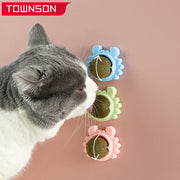 Healthy Cat Catnip Toys Snack - PetMyKaribbeanKat