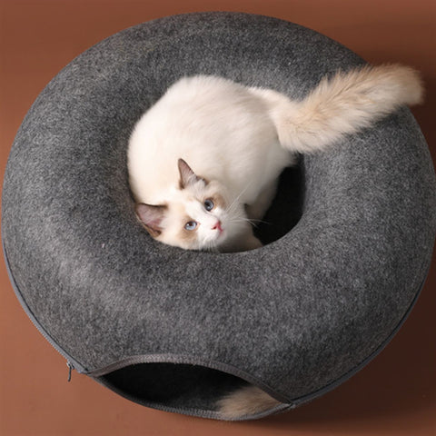 donut cat tunnel